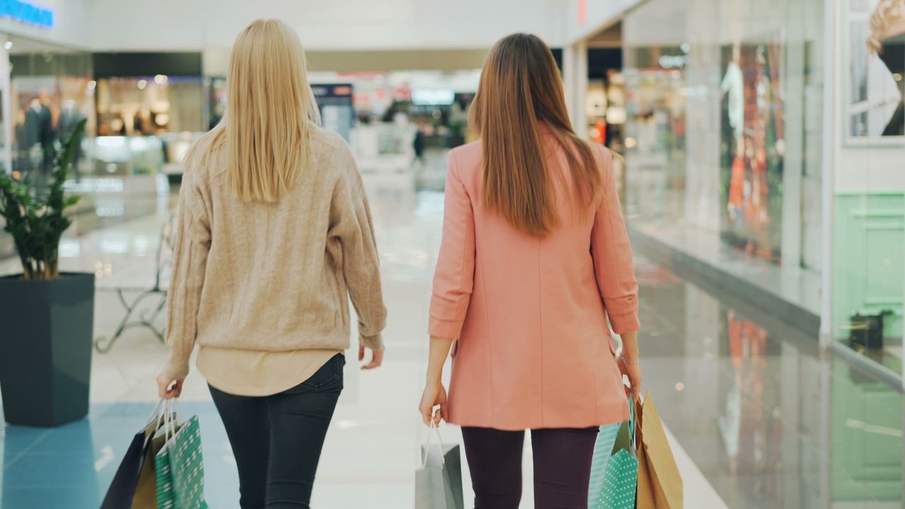 Two women walking in a mall holding shopping bags, back view.